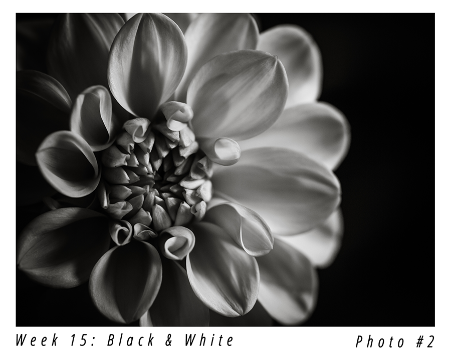 {52 Words} Black and White